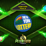 13-NEWYORK-POOLS
